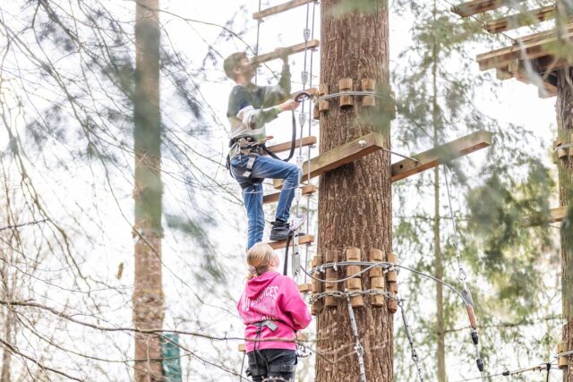 afbeelding van Klimbos